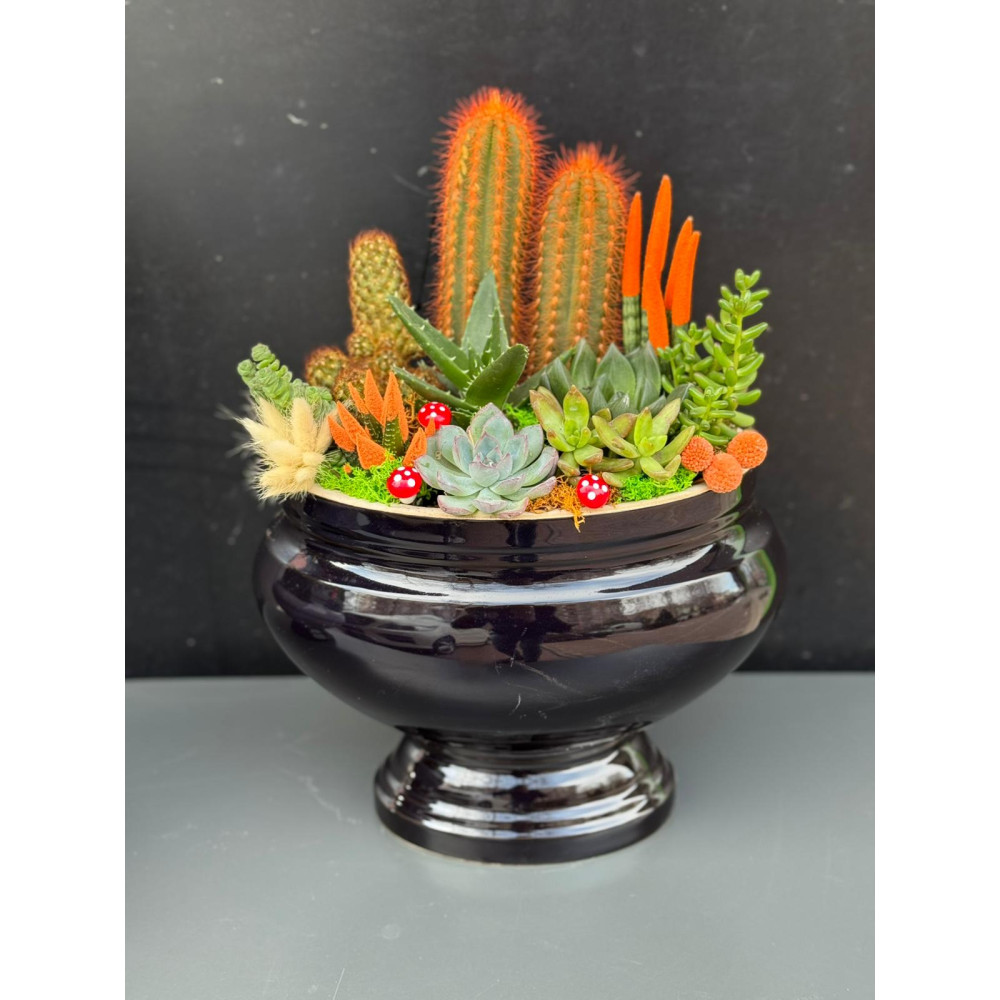 ÖZEL CANLI TERARYUM